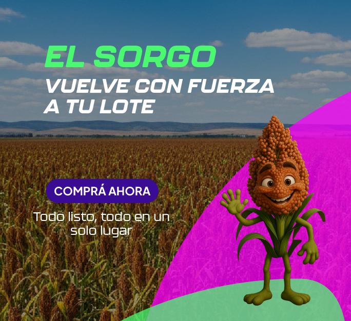 SORGO